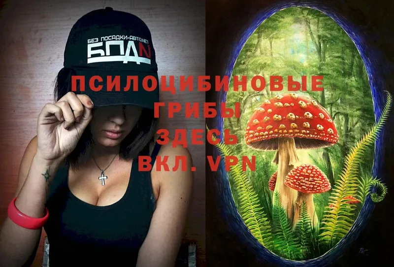 Галлюциногенные грибы MAGIC MUSHROOMS  Алексин 